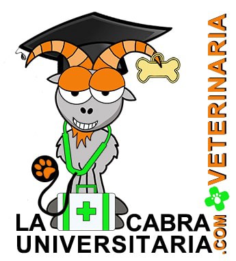 Veterinaria