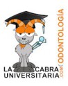 Odontología