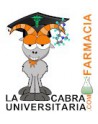 Farmacia